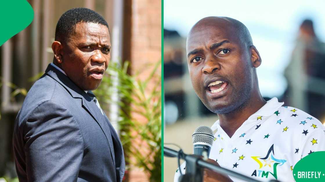 The ATM has approached the Public Protector following Nhlanhla Mkhwanazi's allegations
