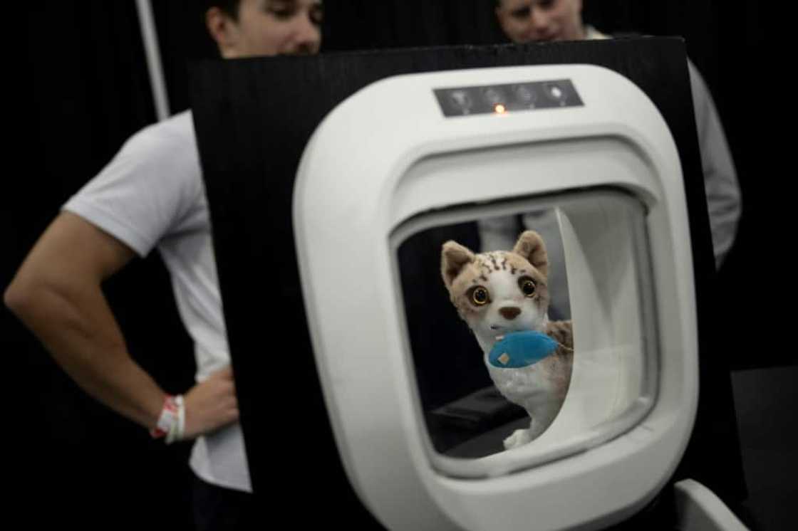 A smart pet door from Flappie Technologies is seen during CES Unveiled  in Las Vegas A smart pet door from Flappie Technologies is seen during CES Unveiled  in Las Vegas