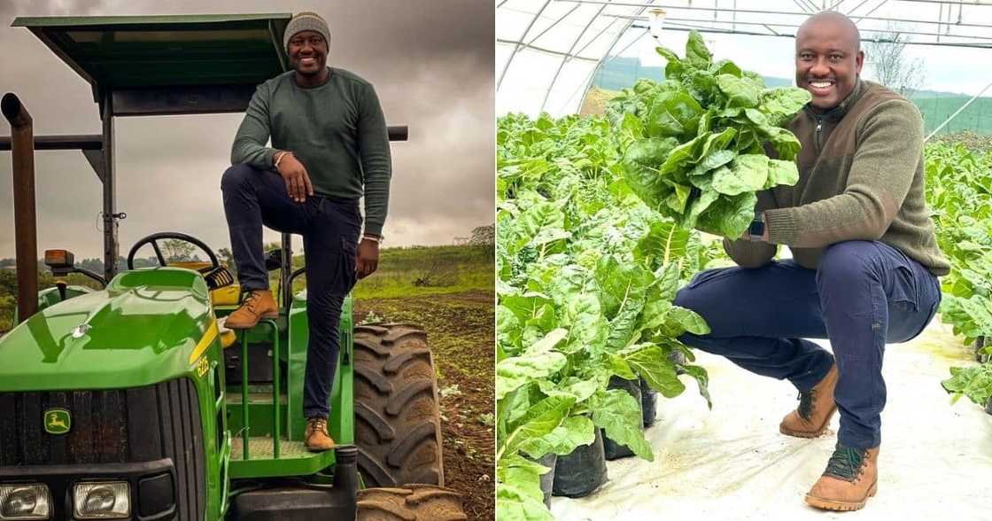 SA Wowed, Farmer, Inspiring, Hustle, Vegetables SA Wowed, Farmer, Inspiring, Hustle, Vegetables