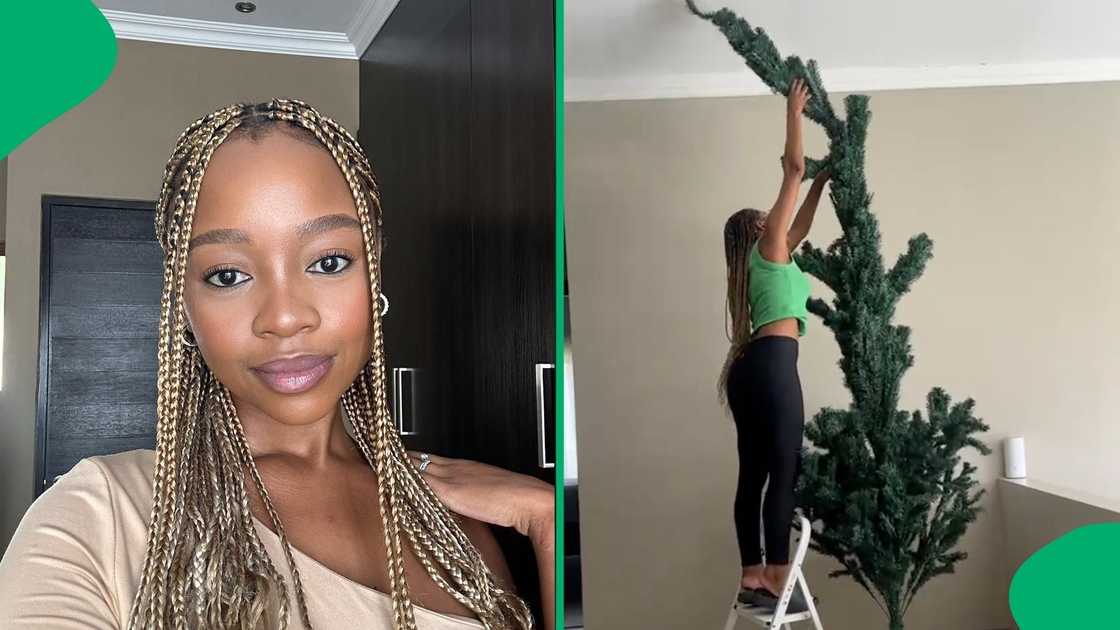 A woman posted a TikTok vlog of her Christmas tree decorations