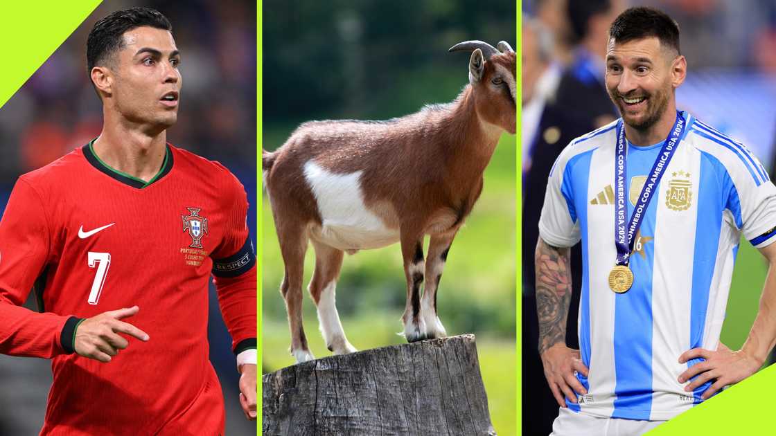 Ronaldo once named the one player he ranks alongside himself and Lionel Messi in the debate for the greatest player of all time. Photos by Stu Forster/Getty Images, @brfootball/X and Buda Mendes. Ronaldo once named the one player he ranks alongside himself and Lionel Messi in the debate for the greatest player of all time. Photos by Stu Forster/Getty Images, @brfootball/X and Buda Mendes.