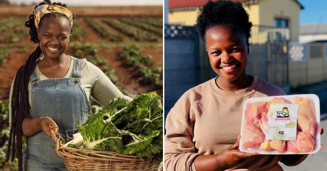 The Cape Town agricultural entrepreneur trains other farmers The Cape Town agricultural entrepreneur trains other farmers