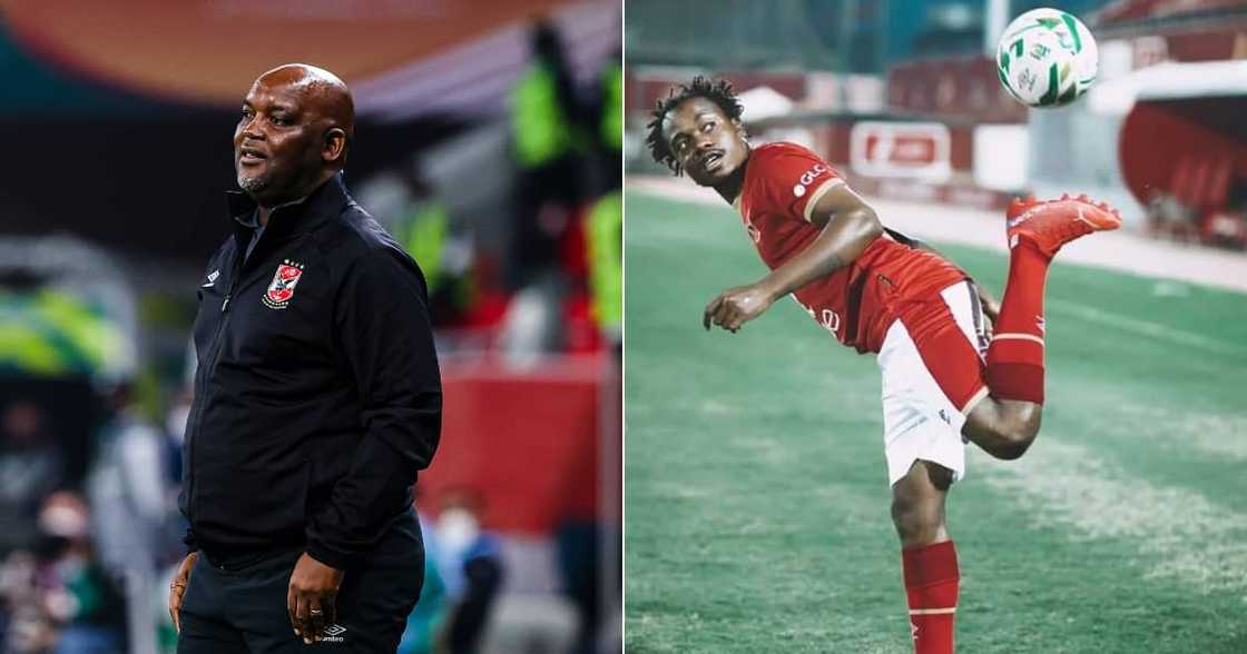 Pitso Mosimane, Percy Tau, Al Ahly, Brighton & Hove Albion, respect Pitso Mosimane, Percy Tau, Al Ahly, Brighton & Hove Albion, respect