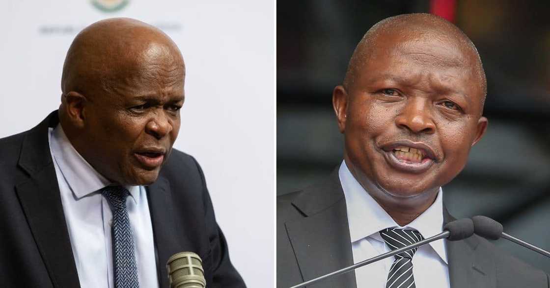 Mondli Gungubele_David Mabuza Mondli Gungubele_David Mabuza