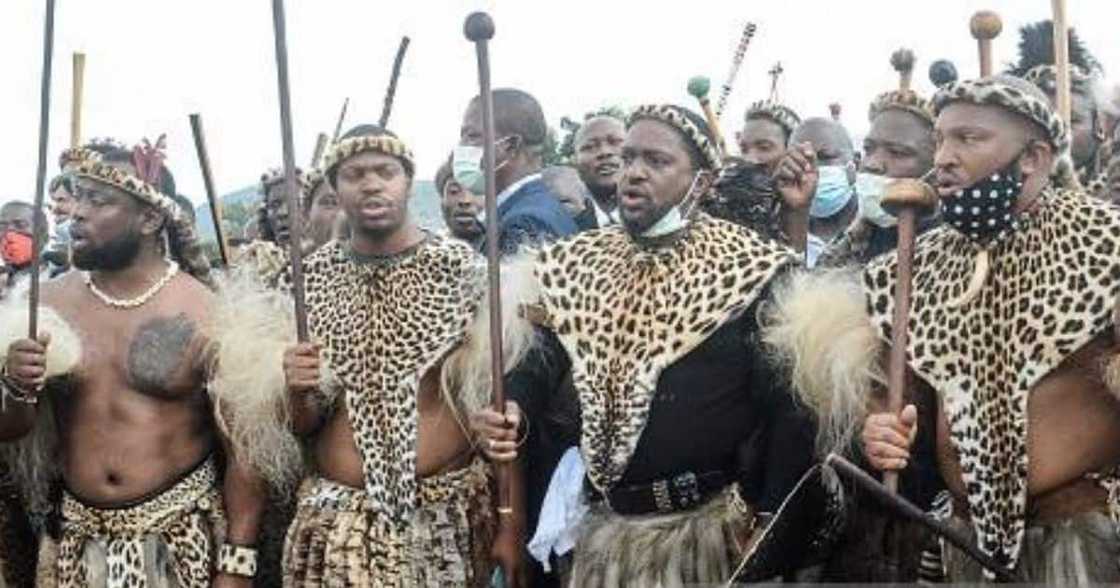 President Cyril Ramaphosa, Prince Misuzulu, Zulu Kingdom, Premier Sihle Zikalala, KwaZulu Natal