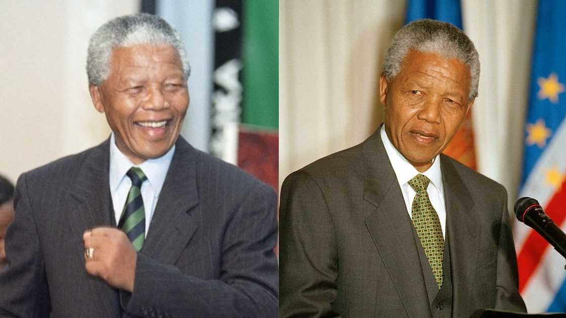 biography of nelson mandela biography of nelson mandela