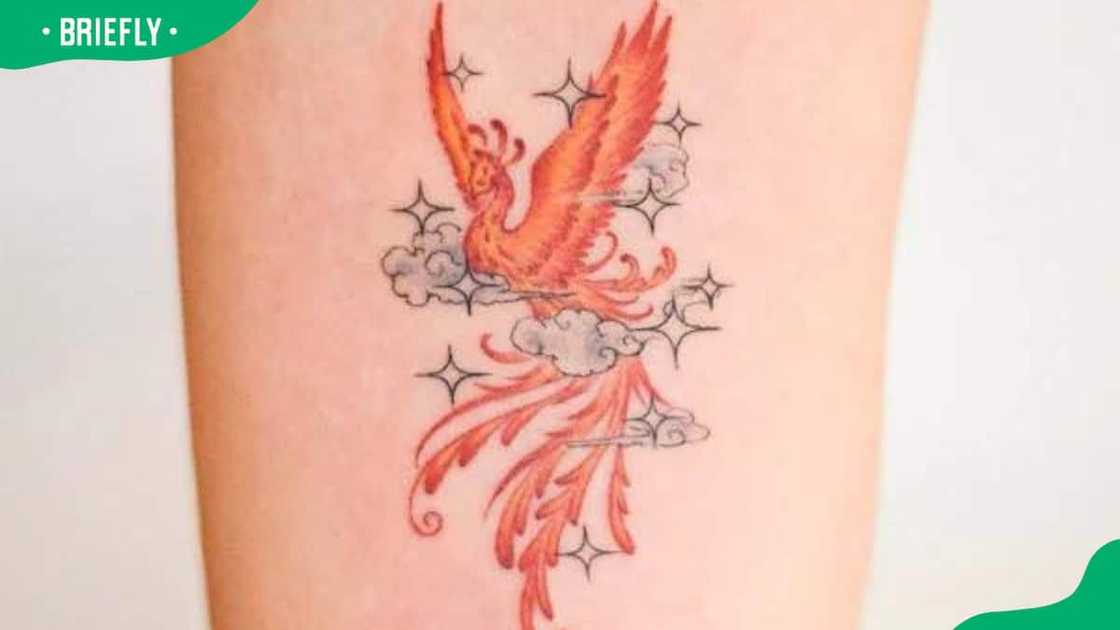Phoenix tattoo on the cloud Phoenix tattoo on the cloud