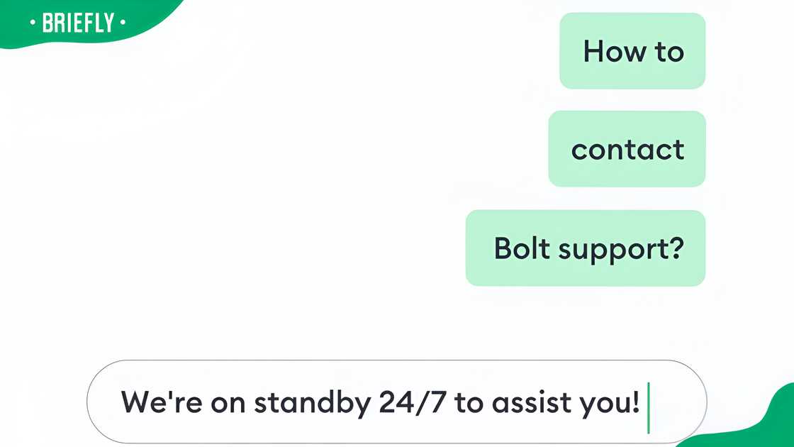 How to contact Bolt in South Africa How to contact Bolt in South Africa