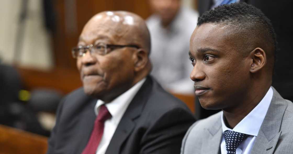 Duduzane Zuma, Arms Deal Trial, Jacob Zuma, Pietermaritzburg High Court, ANC