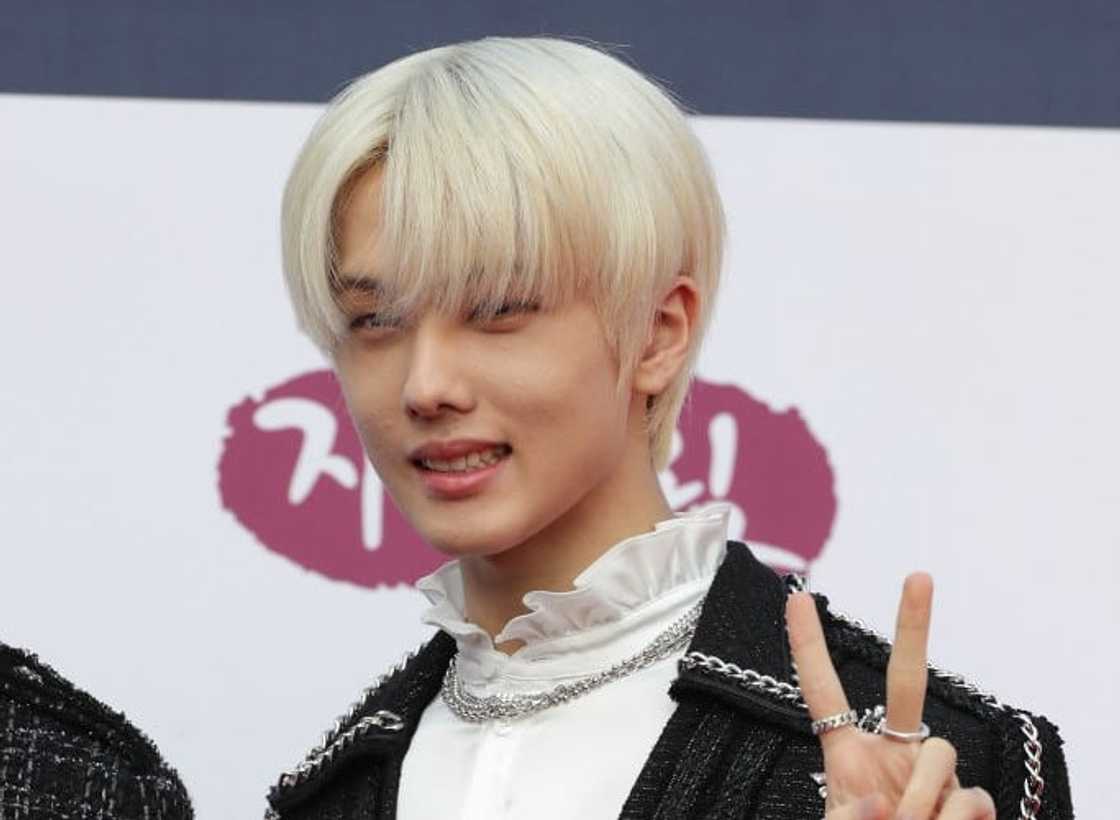 Stray Kids members: ages, families, height, profiles, net worth -  Briefly.co.za