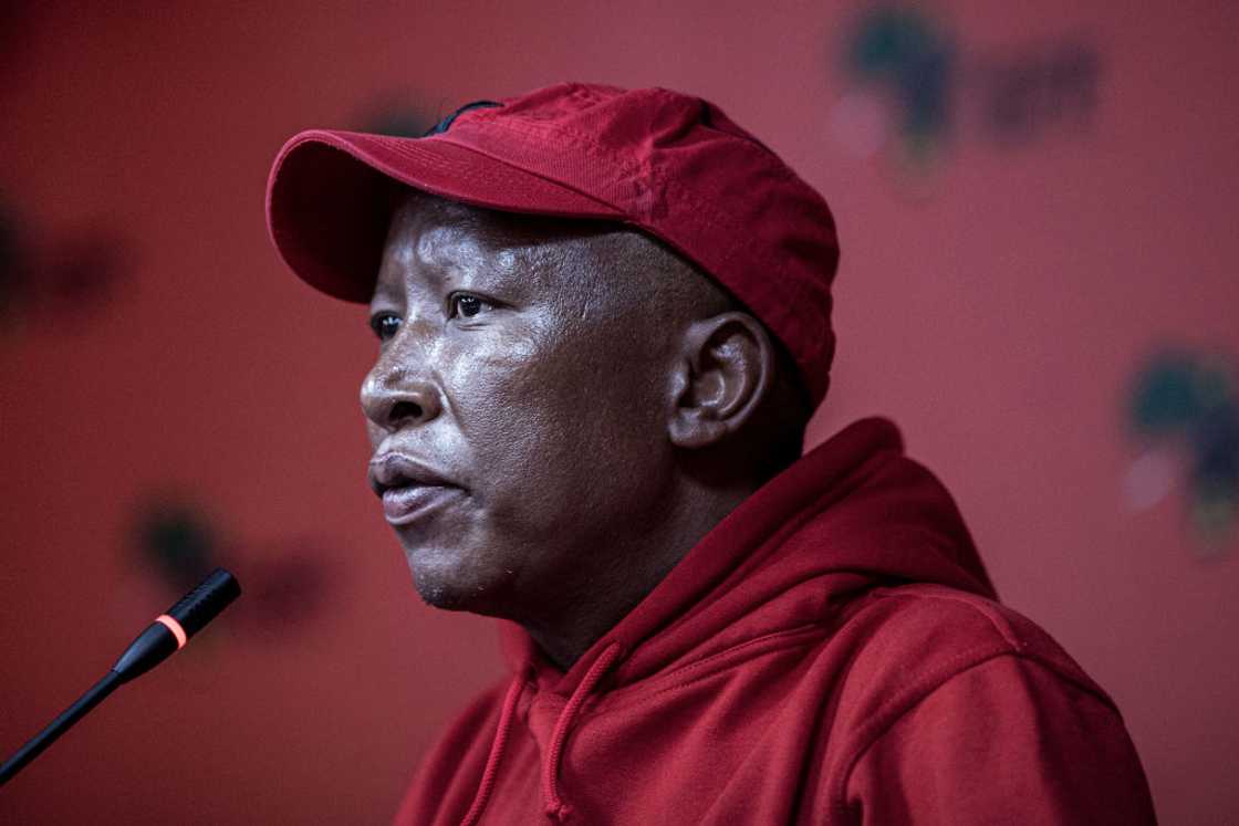 Malema hit back at claims of being an international criminal.