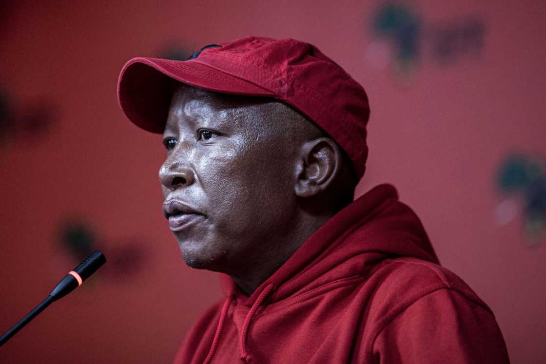 Malema hit back at claims of being an international criminal. Malema hit back at claims of being an international criminal.