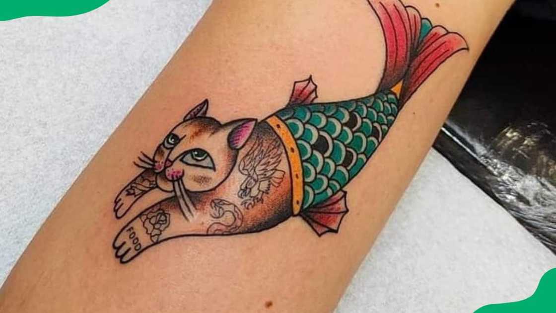 Mermaid cat Mermaid cat
