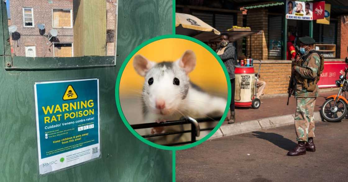 Rat poison is the cause of death for Johannesburg boy who died in early October. Rat poison is the cause of death for Johannesburg boy who died in early October.
