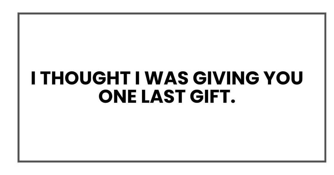 I thought I was giving you one last gift. I thought I was giving you one last gift.