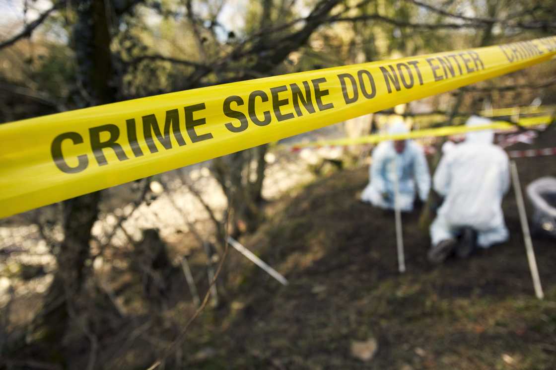 A small farm holding in the Western Cape was a crime scene following the murder of an elderly couple A small farm holding in the Western Cape was a crime scene following the murder of an elderly couple