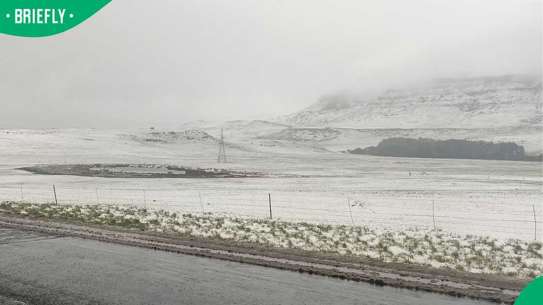 Snow fall