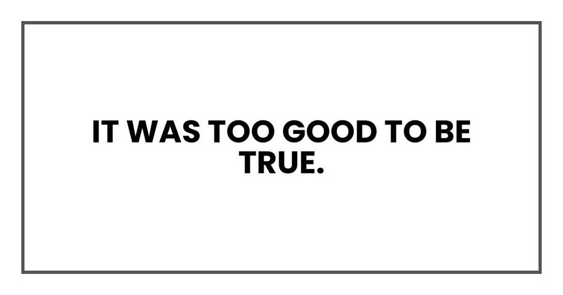 It was too good to be true.