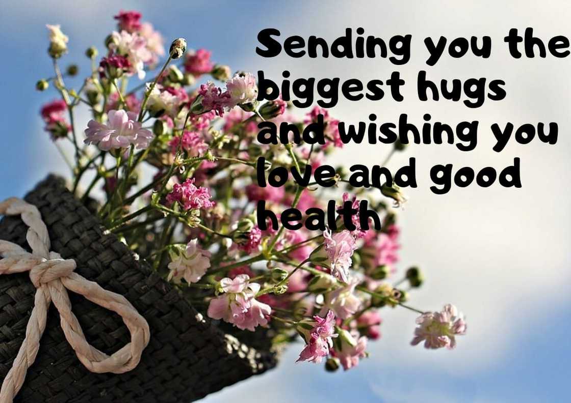 100+ get well soon messages, quotes and wishes for your loved ones