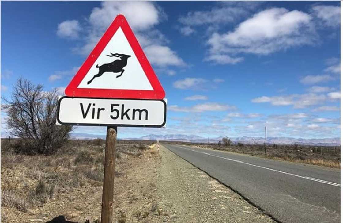 Road signs in South Africa and their meanings Road signs in South Africa and their meanings