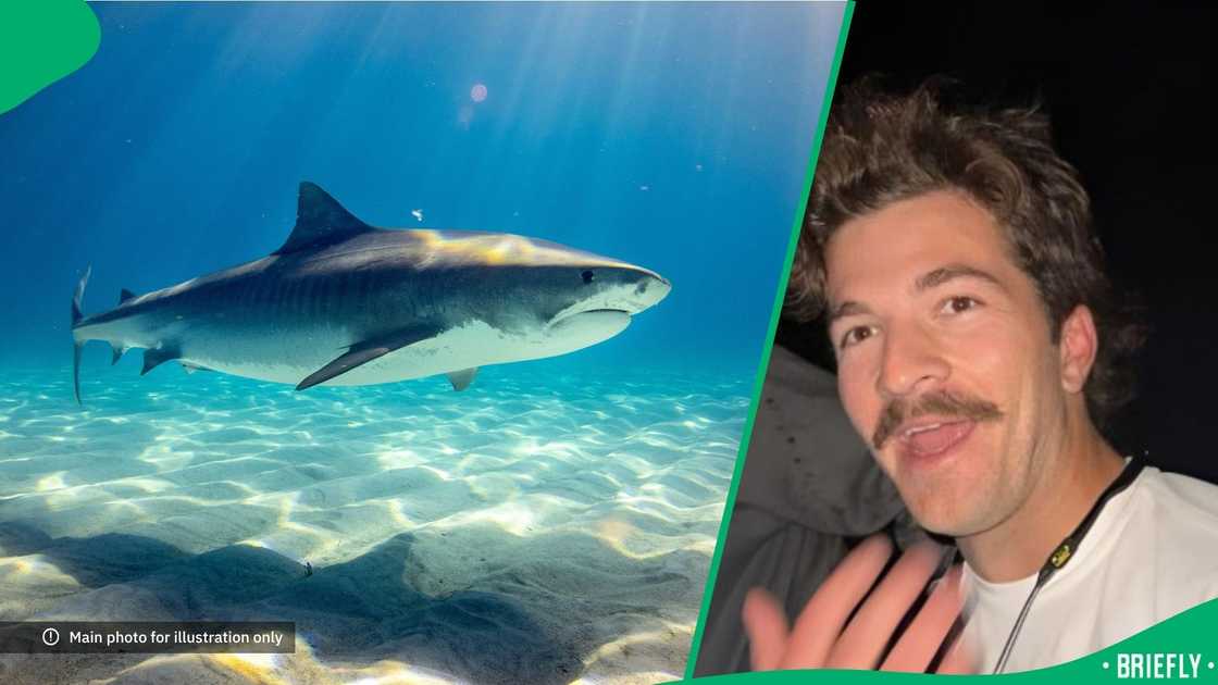 A shark jumped over a man's head.