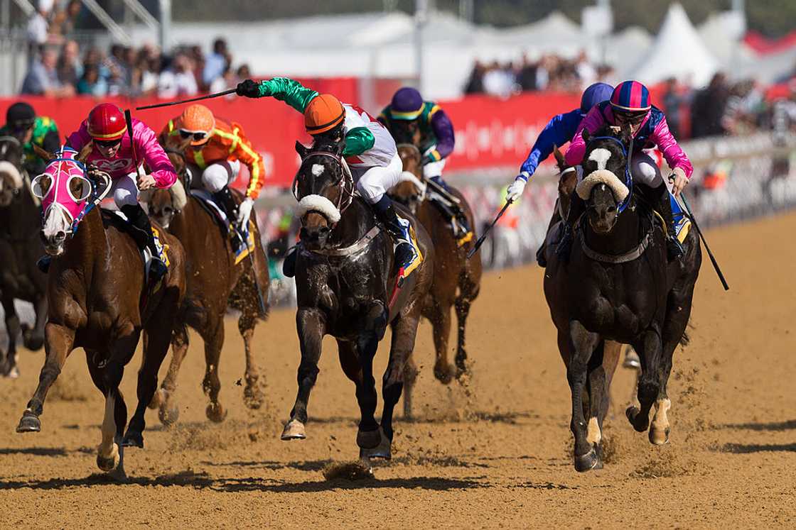 Durban July is a high profile horse racing event Durban July is a high profile horse racing event
