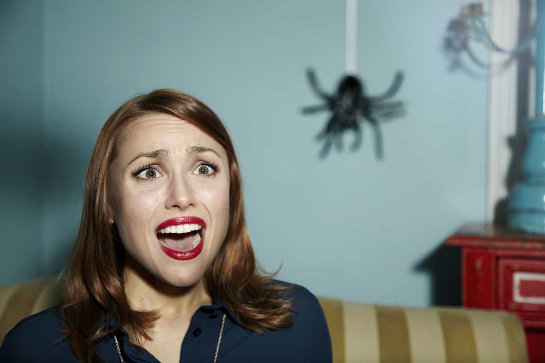 A stock photo of a woman with arachnophobia A stock photo of a woman with arachnophobia