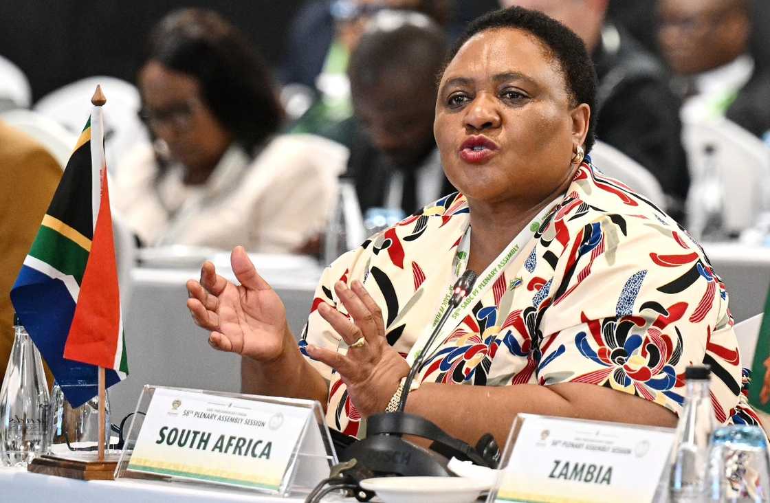 Thoko Didiza said Brown Mogotsi and Paul O'Sullivan did not reject the Ad Hoc Committee Thoko Didiza said Brown Mogotsi and Paul O'Sullivan did not reject the Ad Hoc Committee