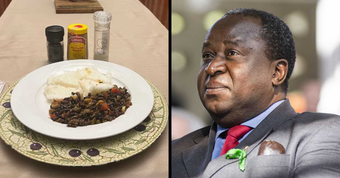 Tito Mboweni, dinner, meal, termites, fried dough, traditional food, dintwa, majenje Tito Mboweni, dinner, meal, termites, fried dough, traditional food, dintwa, majenje