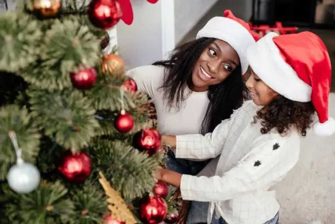 Two people wearing Santa hats decorate a Christmas tree with red ornaments and golden accents indoors. Two people wearing Santa hats decorate a Christmas tree with red ornaments and golden accents indoors.