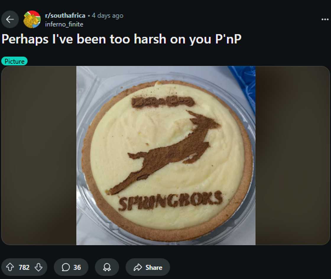 A Pick n Pay milktart that featured a precisely dusted Springbok emblem spelt out in cinnamon went viral A Pick n Pay milktart that featured a precisely dusted Springbok emblem spelt out in cinnamon went viral
