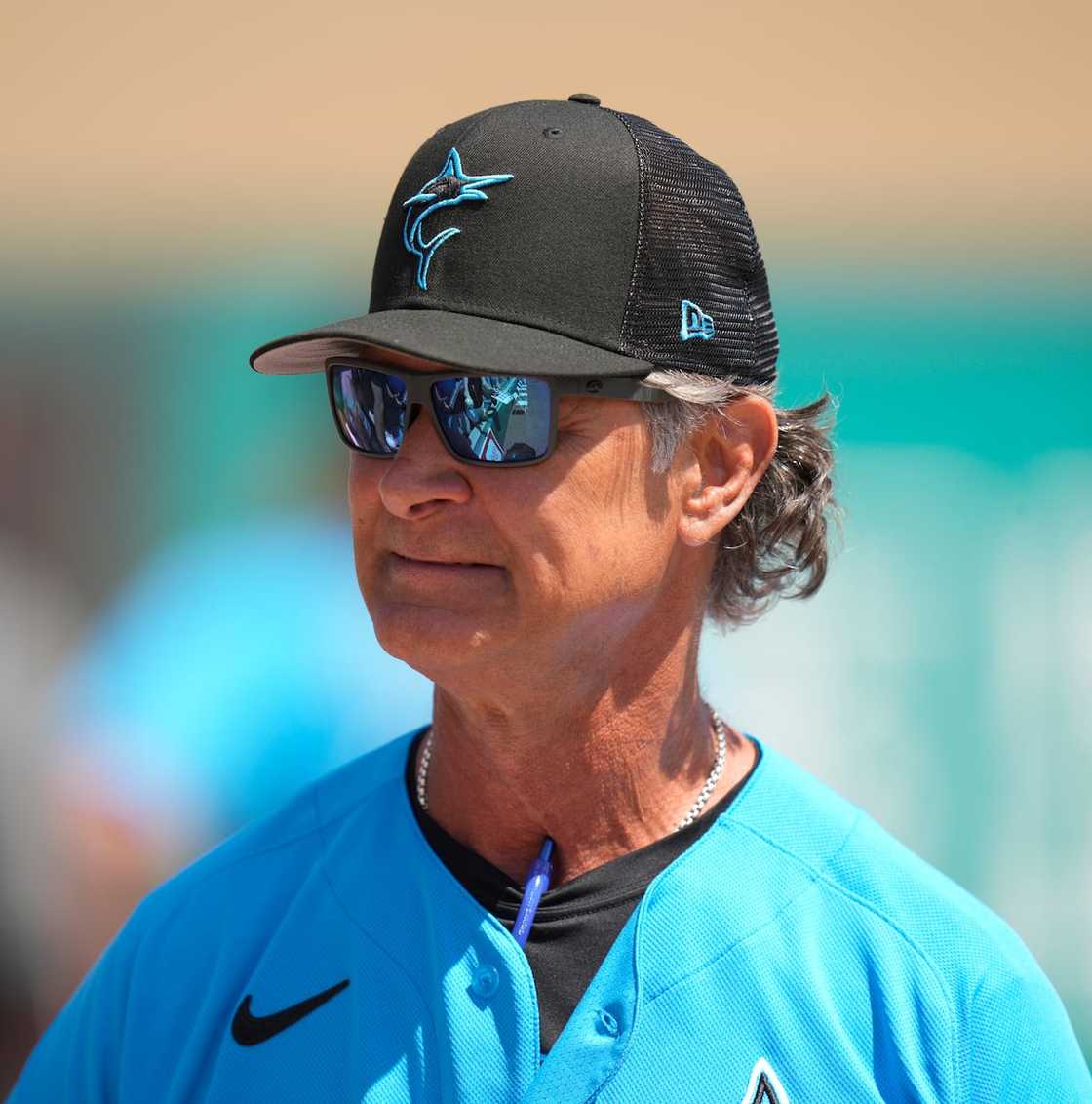 Dinah Mattingly's husband Dinah Mattingly's husband