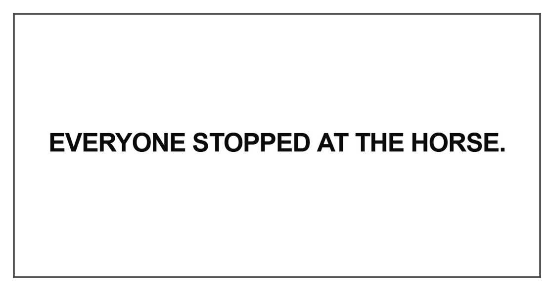 Everyone stopped at the horse.