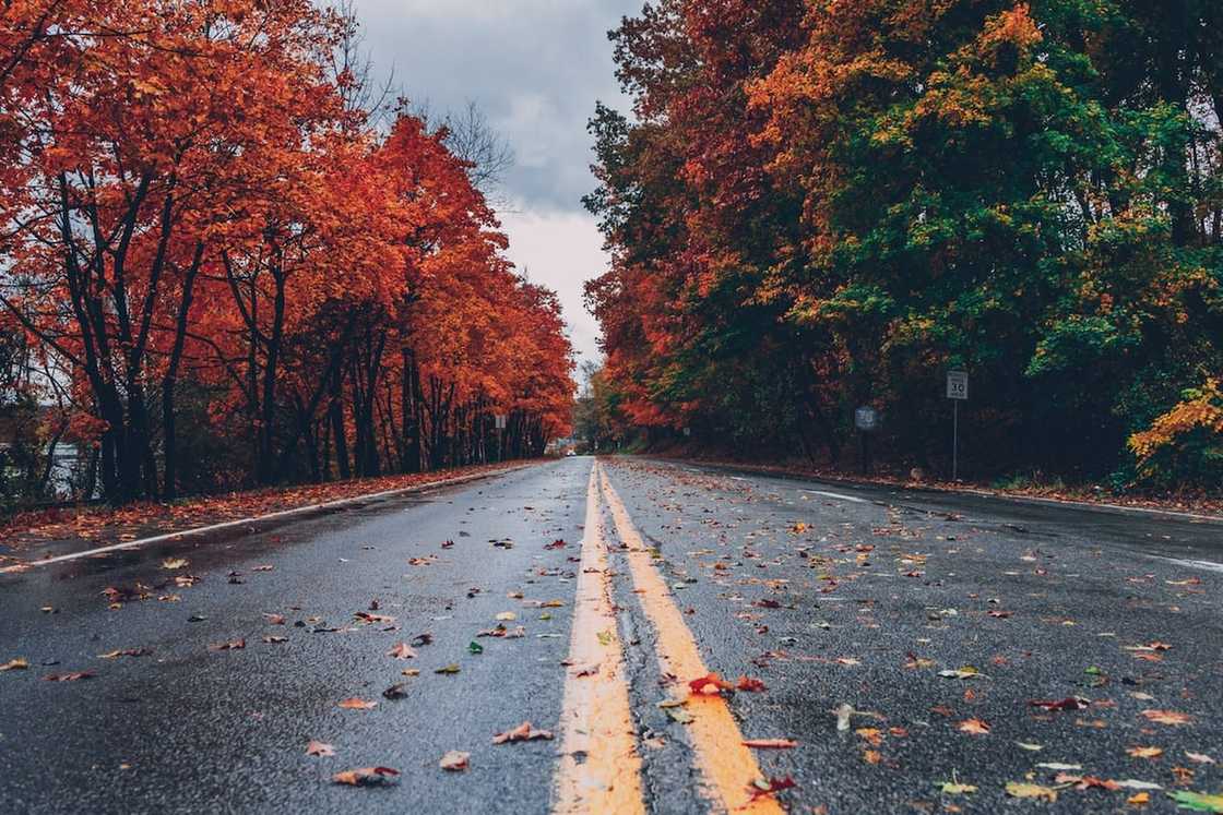 Weather and seasons in South Africa: Here's all you need to know Weather and seasons in South Africa: Here's all you need to know