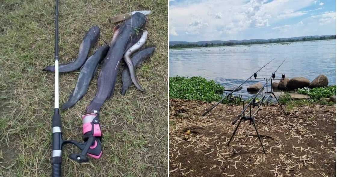 Fisherman, Mzansi, South Africans, Hobby, Snakes, Licence Fisherman, Mzansi, South Africans, Hobby, Snakes, Licence