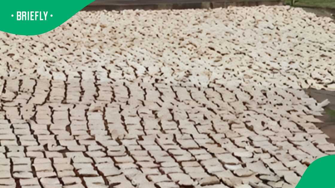 Woman's bread walk way gets criticised Woman's bread walk way gets criticised