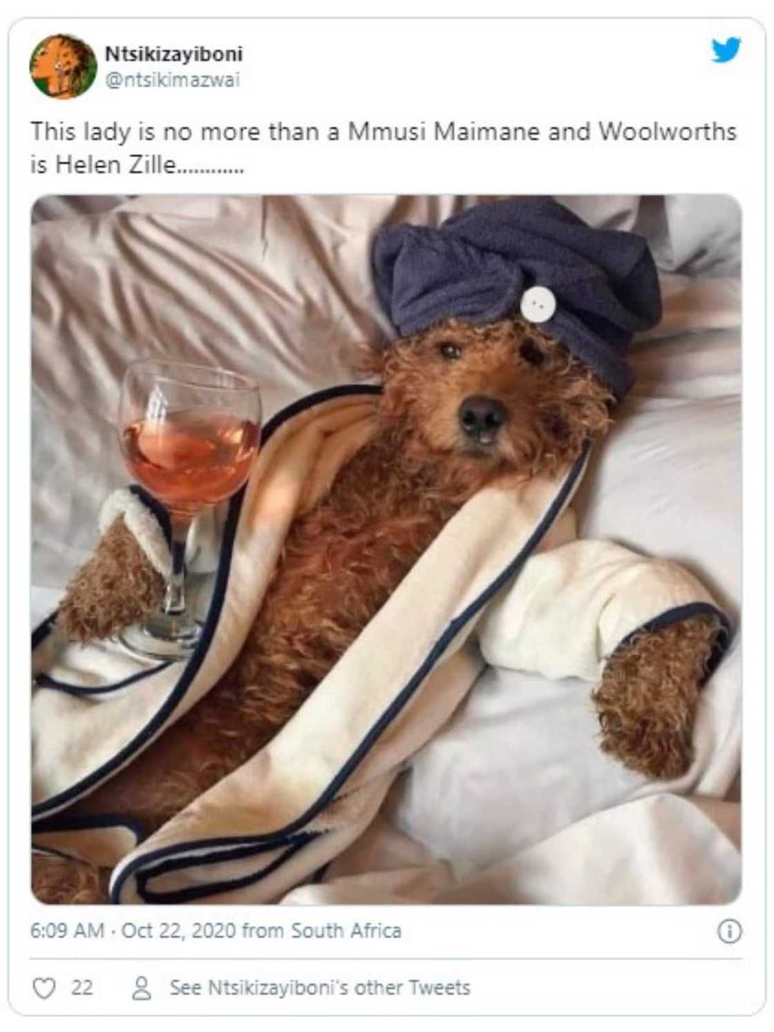 Ntsiki Mazwai goes after Bonang Matheba’s lush new bubbly launch Ntsiki Mazwai goes after Bonang Matheba’s lush new bubbly launch