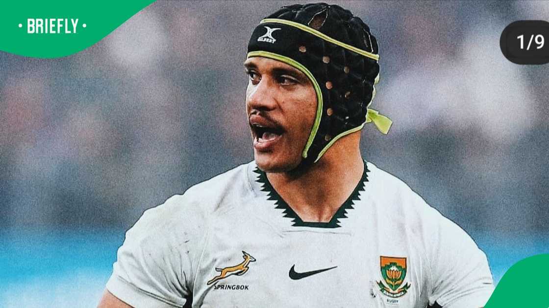 Springboks, South Africa, Edwill van der Merwe