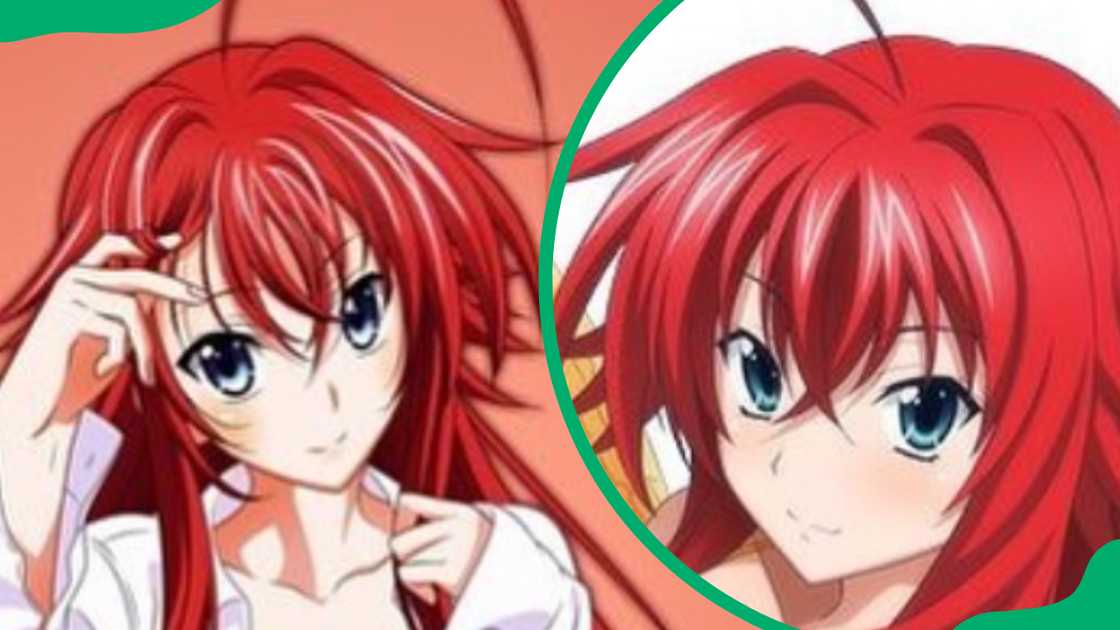 Rias Gremory Rias Gremory