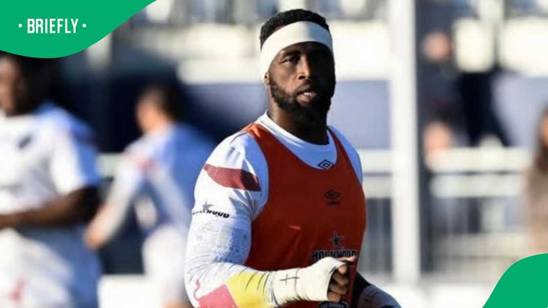 Springboks, Siya Kolisi, Sharks, URC Springboks, Siya Kolisi, Sharks, URC