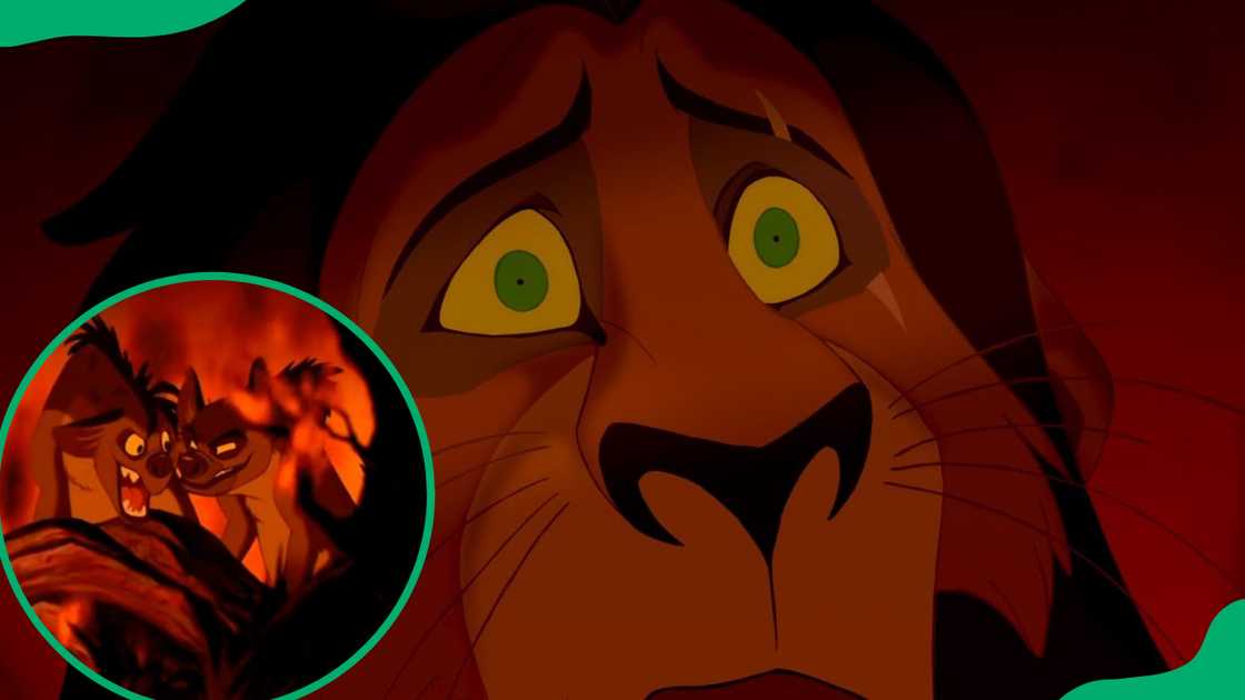 Who were Scar’s allies? Who were Scar’s allies?