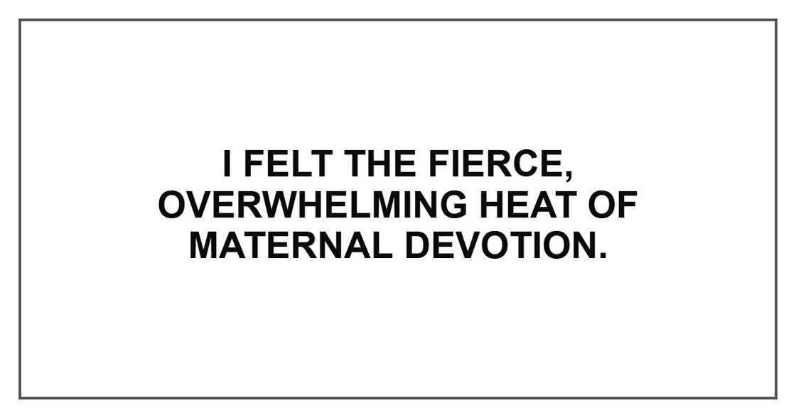 I felt the fierce, overwhelming heat of maternal devotion.