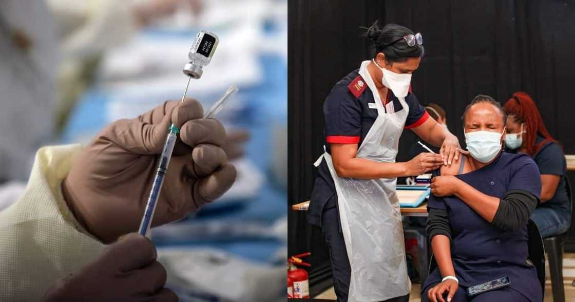 SA, react, 1st batch, Pfizer vaccine lands SA, react, 1st batch, Pfizer vaccine lands