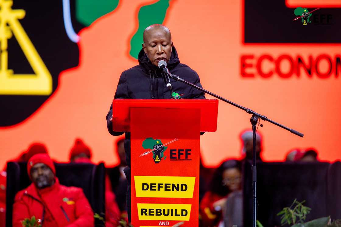 Economic Freedom Fighters president Julius Malema spoke about Nhlanhla Mkhwanazi during the party's anniversary