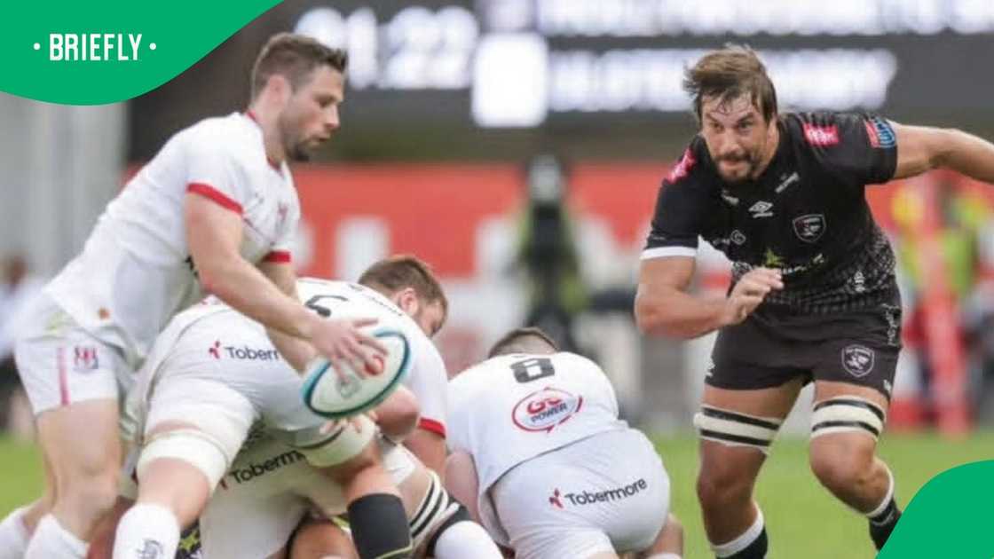 Springboks, Eben Etzebeth, Sharks Springboks, Eben Etzebeth, Sharks