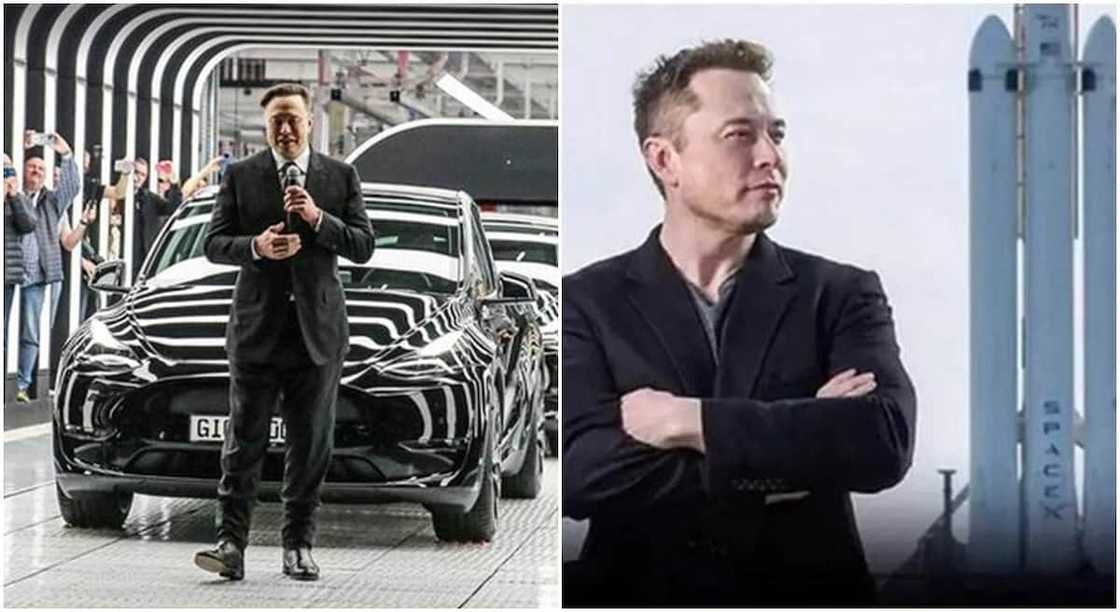 Tesla, Elon Musk, Europe factory, Germany