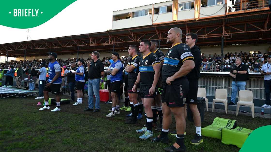 Boland Rugby, Wellington, Boland Kavaliers