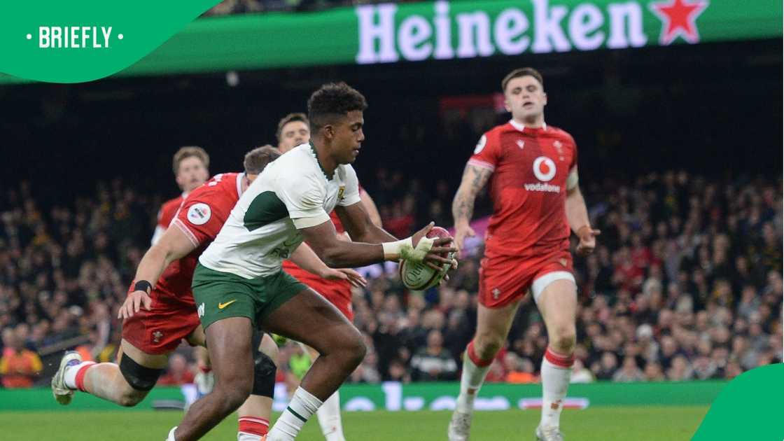 Canan Moodie, Springboks, South Africa