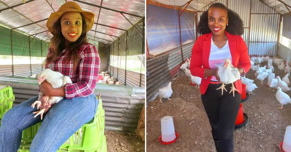 A mother-of-three from Soshanguve is slaying as a microbiologist and farmer in Gauteng A mother-of-three from Soshanguve is slaying as a microbiologist and farmer in Gauteng