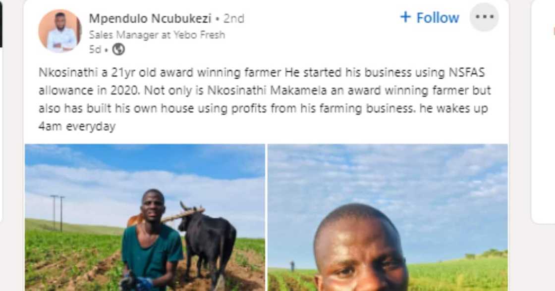 NSFAS, farmer, inspire, South Africa, LinkedIn, social media NSFAS, farmer, inspire, South Africa, LinkedIn, social media